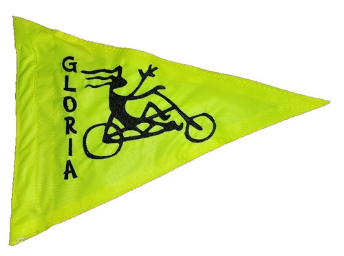 Custom recumbent trike - recumbent, flag