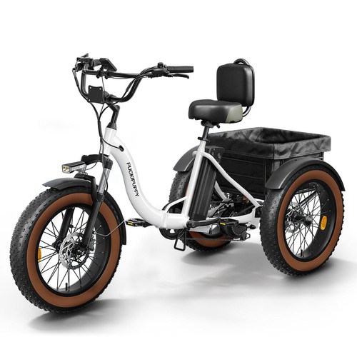 Electric tricycle for - electric,